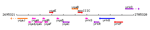 YqaB context.gif