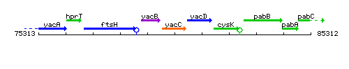 YacC context.gif