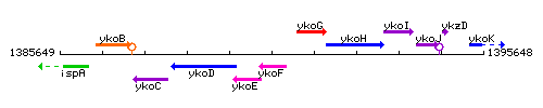 YkoF context.gif
