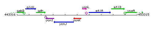 YcnK context.gif
