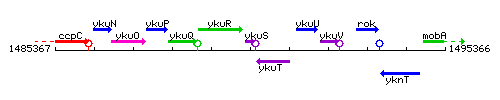 YkuS context.gif