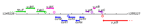 CotX context.gif