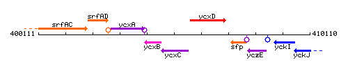 YcxC context.gif