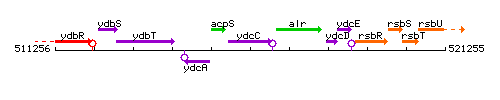 YdcC context.gif