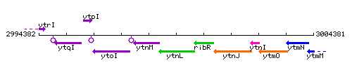YtnL context.gif