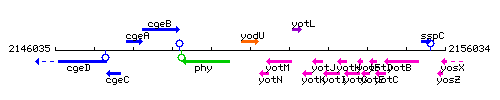 YodU context.gif