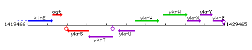 YkrU context.gif