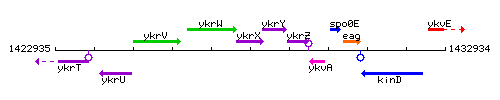 YkrX context.gif
