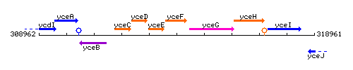 YceF context.gif