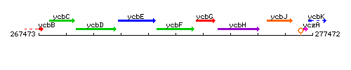 YcbF context.gif