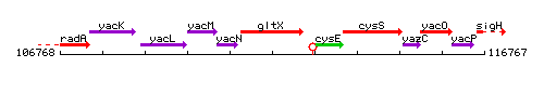 GltX context.gif