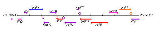 YqfT context.gif