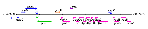 YotK context.gif