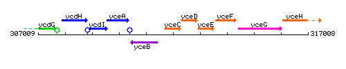 YceC context.gif