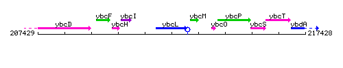 YbcL context.gif