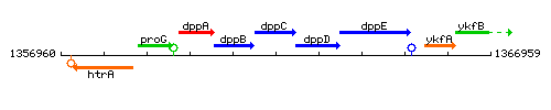 DppC context.gif