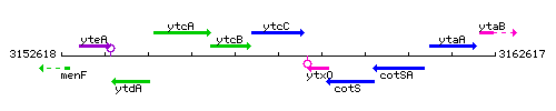 YtcC context.gif