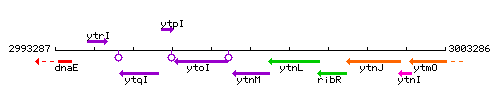 YtnM context.gif