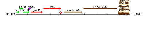 RrnJ-16S context.gif