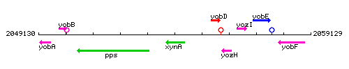 XynA context.gif