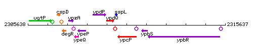 YpcP context.gif
