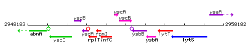 YscB context.gif