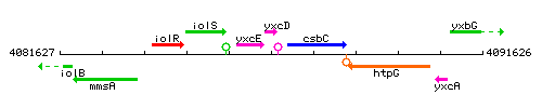 YxcD context.gif