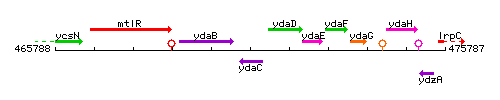 YdaC context.gif