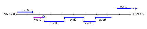 CydC context.gif