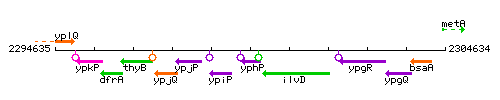 YphP context.gif
