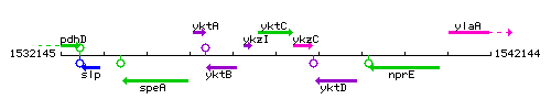 YktC context.gif