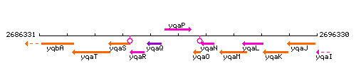 YqaP context.gif