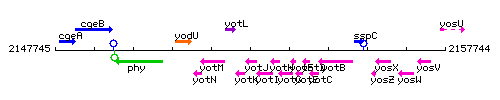 YotJ context.gif