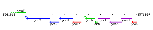 YvcP context.gif