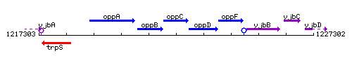OppC context.gif