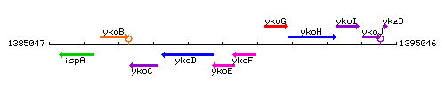 YkoE context.gif