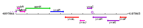 YxaL context.gif