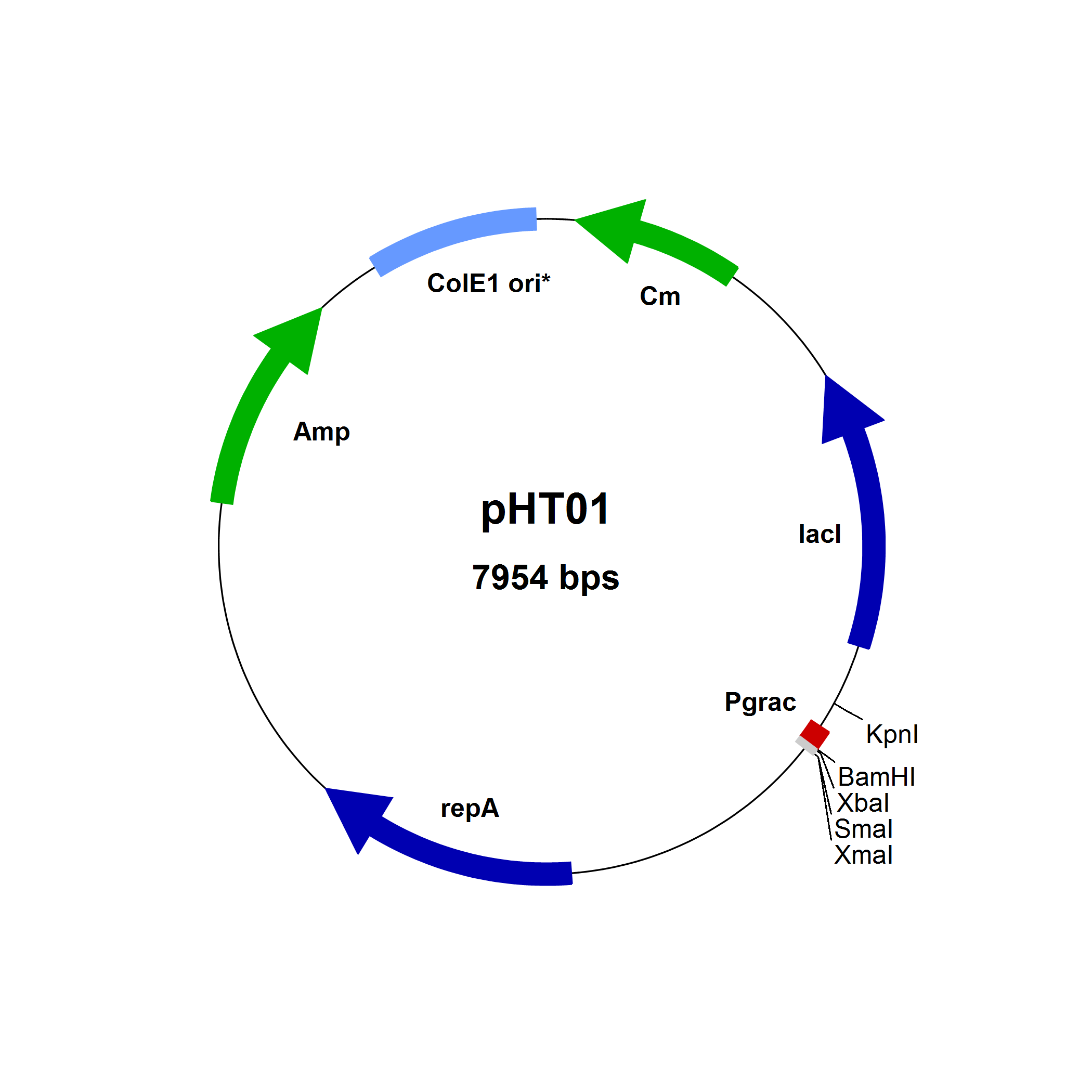 pht01-subtiwiki