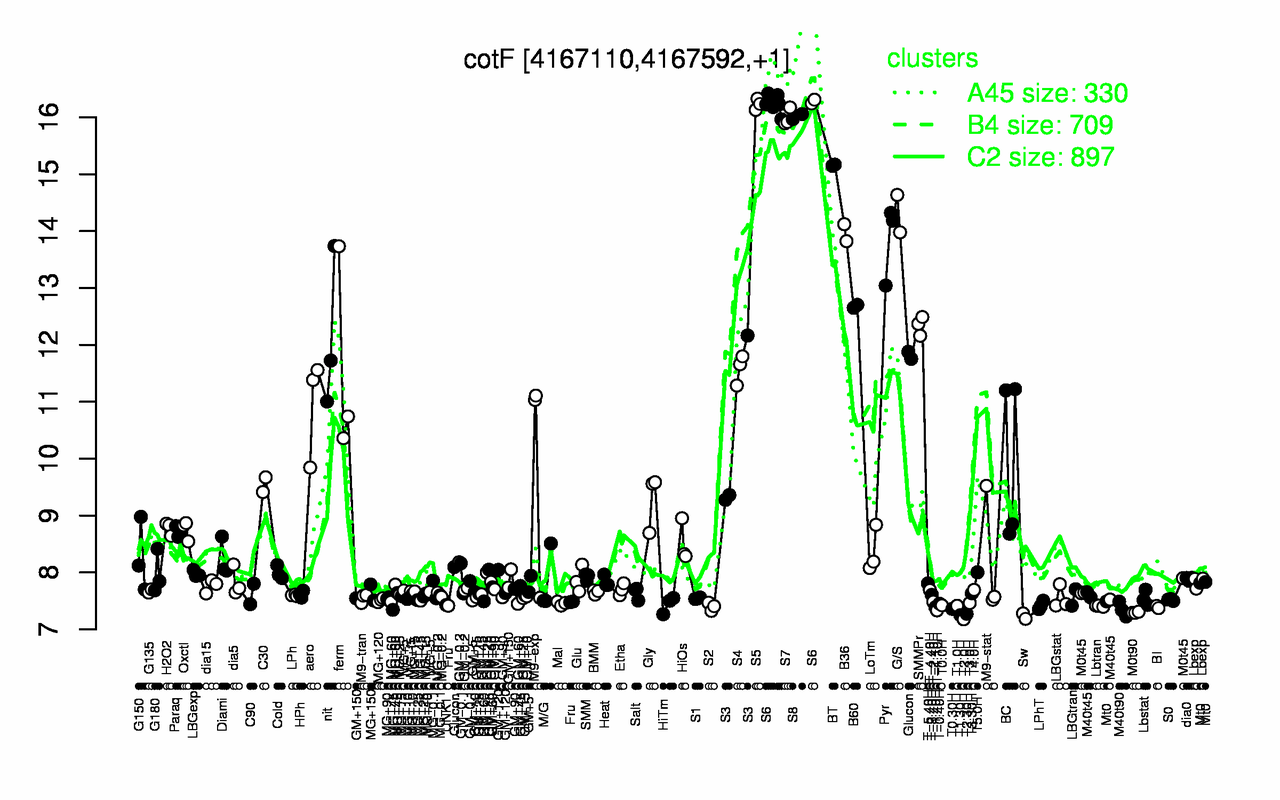 Graph of expression data for this gene.