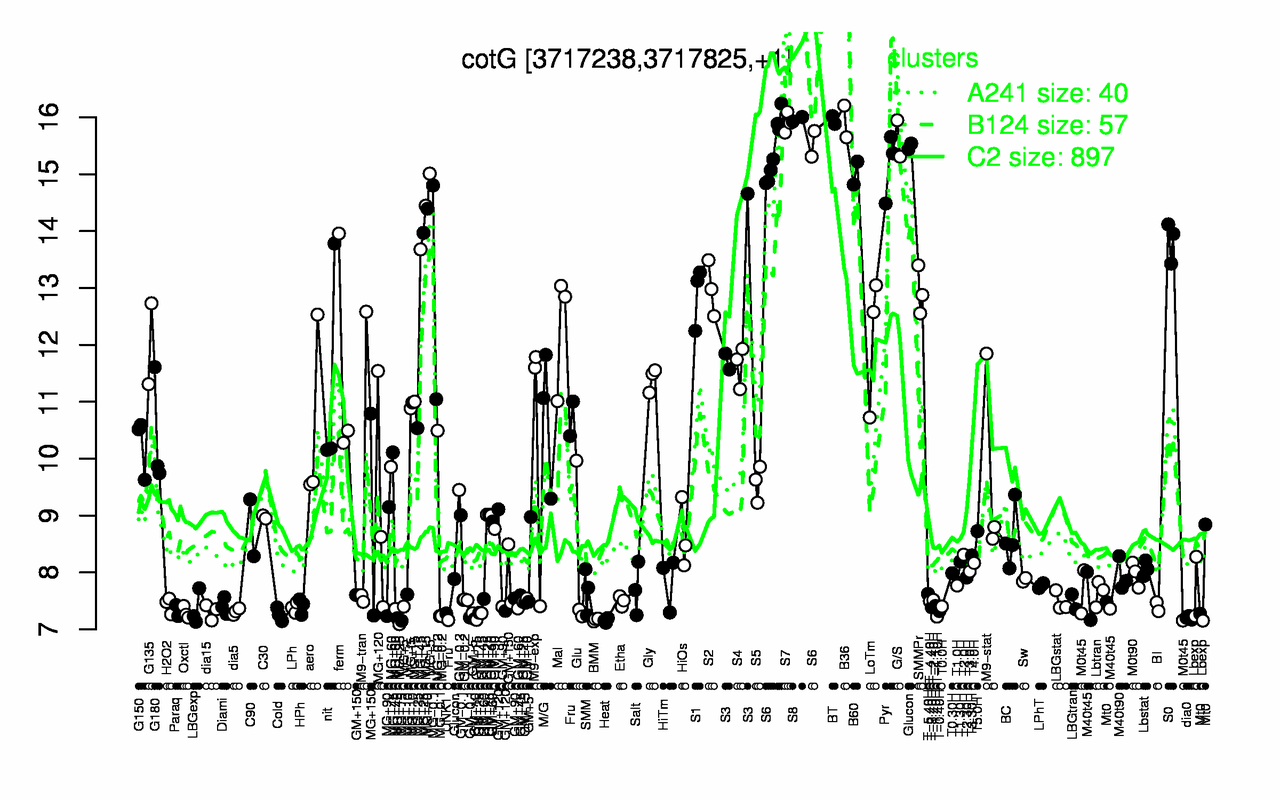 Graph of expression data for this gene.