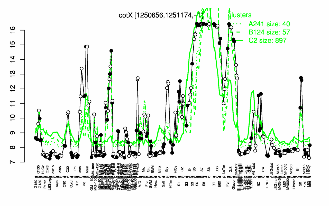 Graph of expression data for this gene.