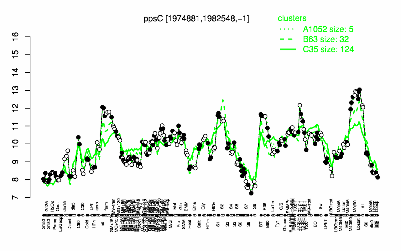 Graph of expression data for this gene.