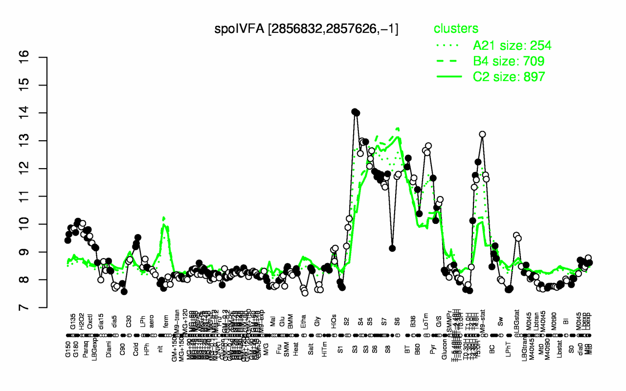 Graph of expression data for this gene.