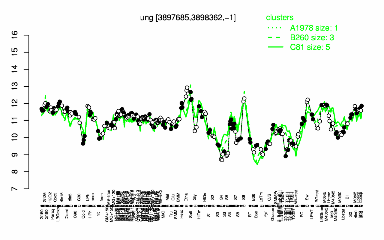 Graph of expression data for this gene.