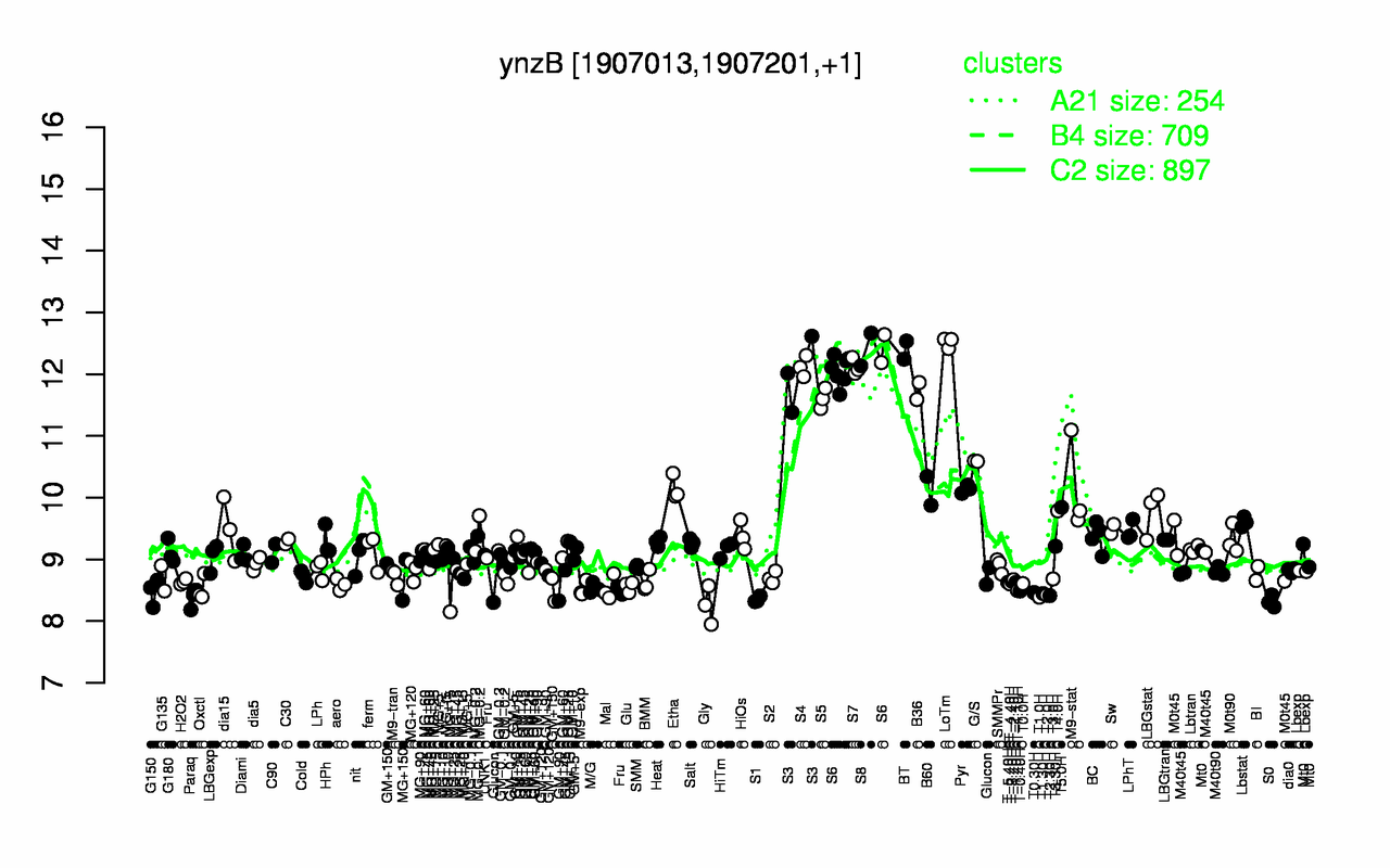 Graph of expression data for this gene.
