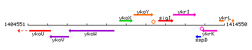 YkoX context.gif