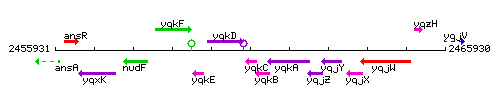 YqkC context.gif