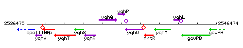 YqhP context.gif