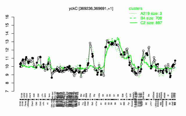 YckC expression.png