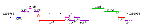 YjcF context.gif